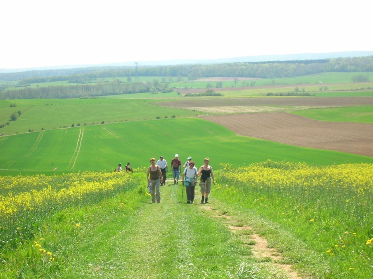 Gite La Volette Moulins-Saint-Hubert Exteriér fotografie