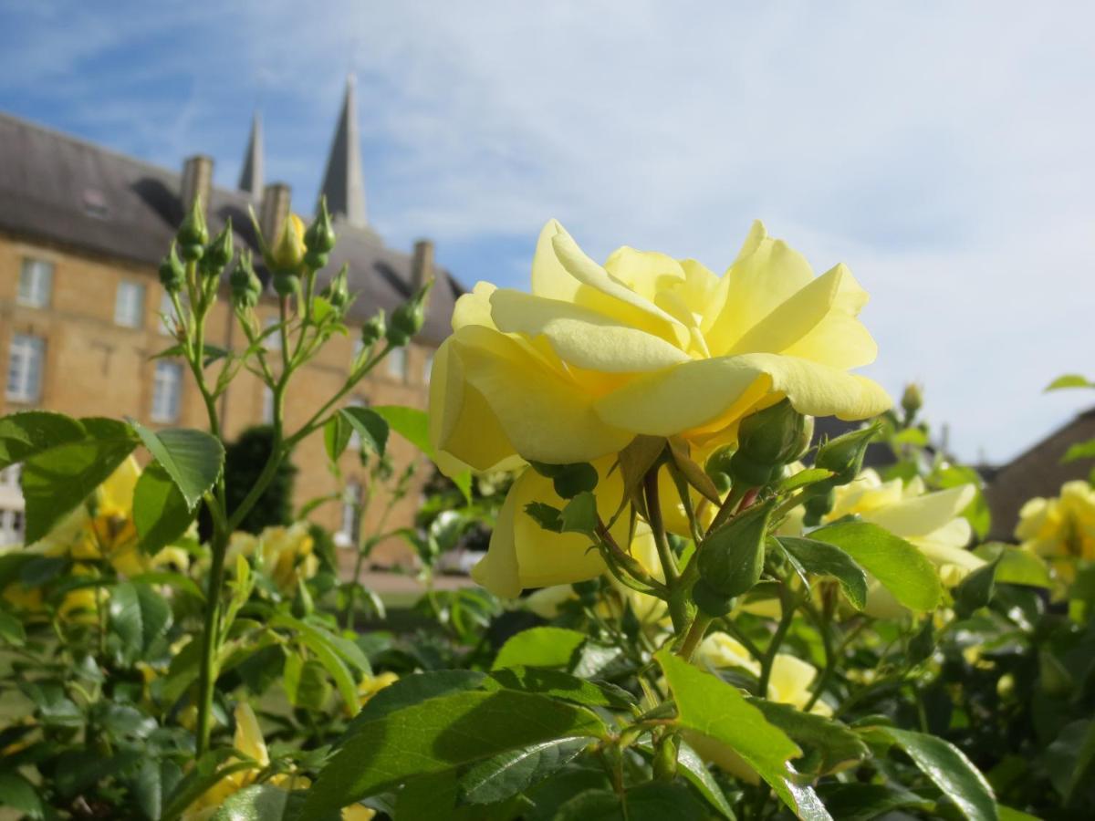 Gite La Volette Moulins-Saint-Hubert Exteriér fotografie